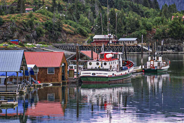EEUU - Alaska 35 - Halibut Cove .jpg